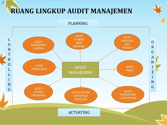 RUANG LINGKUP AUDIT.jpg